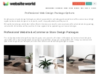 Professional Web Design Package Options