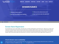 Buy Domain Name | Register A Website Domain URL Based on Availability