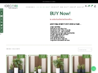 Plant Combos - Buy Now