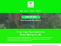       Tree Care Specialists | Tree Company | West Memphis AR