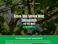       Shrub Trimming | Tree Pruning | West Sacramento, CA