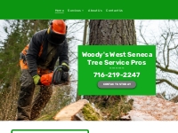       Tree Service | Tree Removal in West Seneca, NY