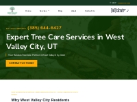 West Valley City Tree Care: Your Trusted Tree Care Partner | Call 385-