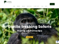 Outback Adventure Safaris: Gorilla Tours, Wildlife Tours   African Hol