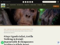 6 Days Uganda Safari, Gorilla Trekking, Chimpanzees, Community Tour