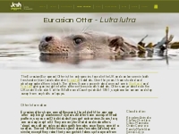 Case Study of the Eurasian Otter