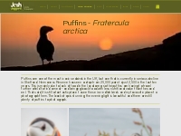 Case Study of the Puffin