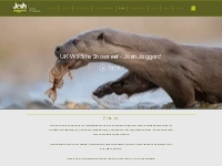 Josh Jaggards Wildlife Showreel and other videos and films