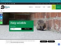 Donate | The Wildlife Trusts