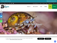 Marine Protected Areas | The Wildlife Trusts