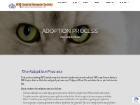 Adoption Process   Will County Humane Society