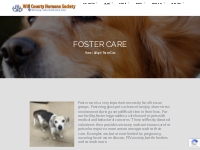 Foster Care   Will County Humane Society