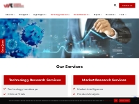 Leading Technology   Market Research Consulting Firm