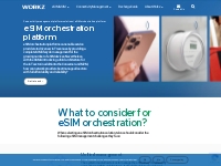  			eSIM orchestration platform - Workz