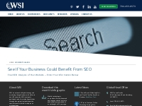 SEO Website Analysis - WSI Proven Results