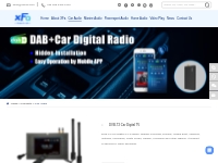 portable mini TV with DAB/FM digital radio,car multimedia tv ,car digi