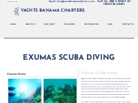 Exumas Scuba Diving - Enjoy the Undersea World