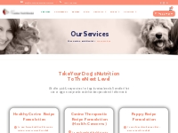 Dog Nutrition Consulting - Holistic Nutritional Strategy For Canines