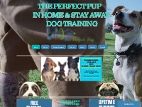 The Perfect Pup| Massapequa NY | Dog Trainer