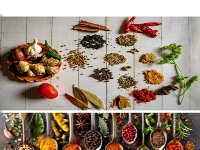 YUVRAJ SPICES - Exporter and Supplier of Quality Indian Spices