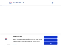 Zamperla - The Amusement Rides Company