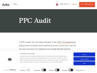 PPC Audit | What is a PPC Audit | PPC Audit Service