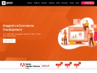 Magento eCommerce Services for B2B   B2C