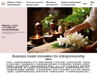 Business model innovation for entrepreneurship