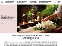 Marketing activity management of Bojin Entrepreneurship