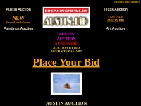 Austin Auction of Multidimensional Paintings