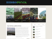 The Hydroponics   Greenhouse Technology