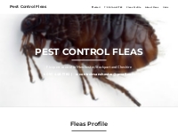 Pest Control Fleas Manchester Stockport Cheshire