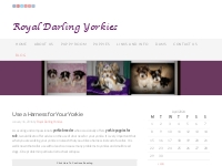 Yorkie Puppies for Sale VA | Yorkie Breeder