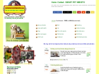 All pet websites directory