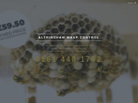 Altrincham Wasp Control £59.50 fixed price Wasps Nest Removal Treatmen