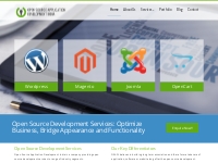  Open Source Development Services for Custom Web Software Development