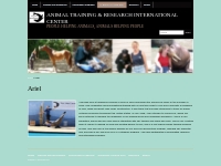 Ariel   Animal Training   Research International Center