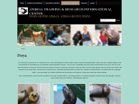 Freya   Animal Training   Research International Center