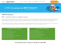 Best CMS Development Company India | Content Management System