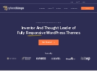 Responsive Theme - Fast, Customizable   Free WordPress Theme