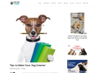 Tips to Make Your Dog Smarter | New Dog Tips