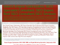 Search Engine Optimization, SEO Specialist Consultant, SEO Expert, Bes