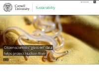 Sustainability | Cornell University
