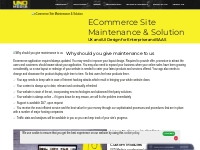 Ecommerce maintenance services | Ecommerce Website Development in USA
