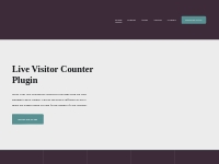 Visitor Plugin for WordPress - The Best Visitor Counter