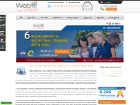 Web Development & Website Design Company in Noida, India