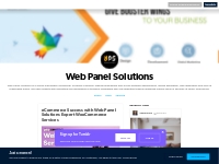Web Panel Solutions — eCommerce Success with Web Panel Solutions Exper