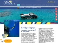 Port Douglas Snorkelling   Private Great Barrier Reef Tours - ABC Snor