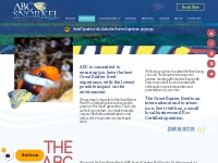 Port Douglas Low Impact Reef Tours - ABC Snorkel Charters