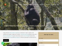 6 Days Primates Tracking Safaris   Chimpanzee   Gorilla Trekking